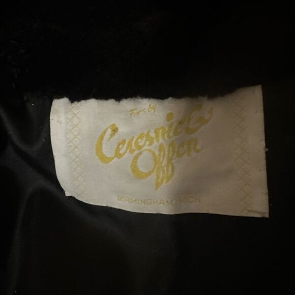 Pristine Condition Vintage Ceresnie and Offen Fur Coat ~Beaver - Picture 9 of 10